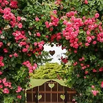 Garden Vendeghaz