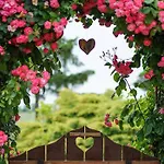 Garden Vendeghaz 3* Makó