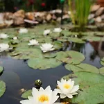 Garden Vendeghaz B&B 3*