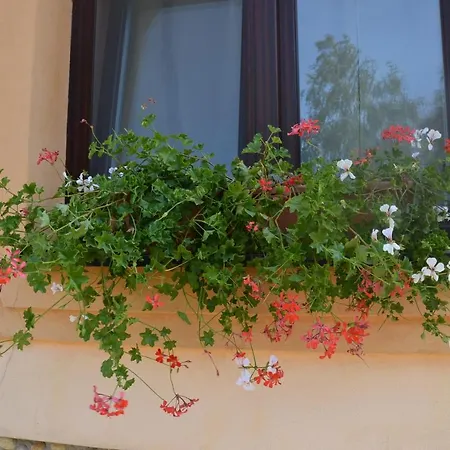 Garden Vendeghaz