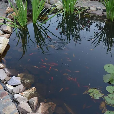 Garden Vendeghaz Couette-café