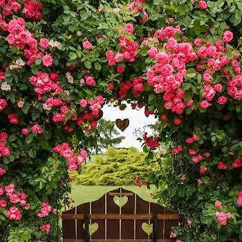 Garden Vendeghaz