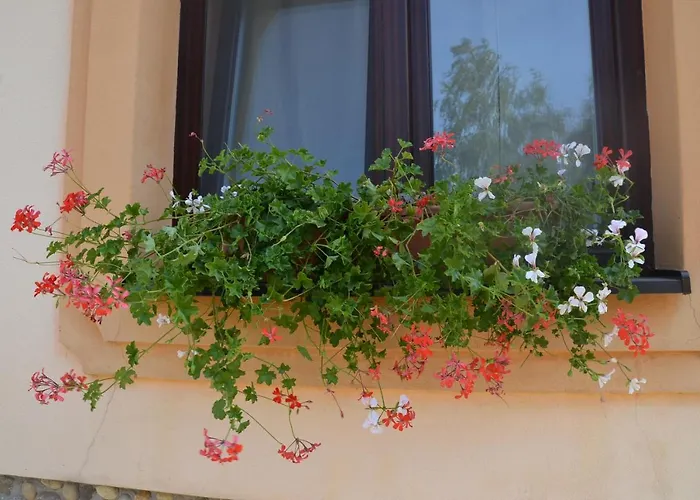 Garden Vendeghaz
