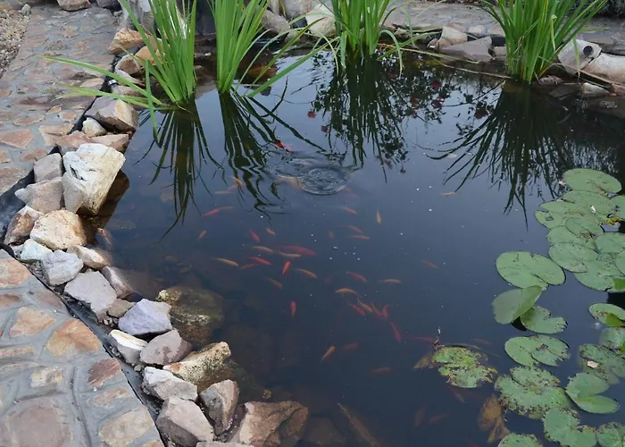 Garden Vendeghaz Oda ve Kahvaltı